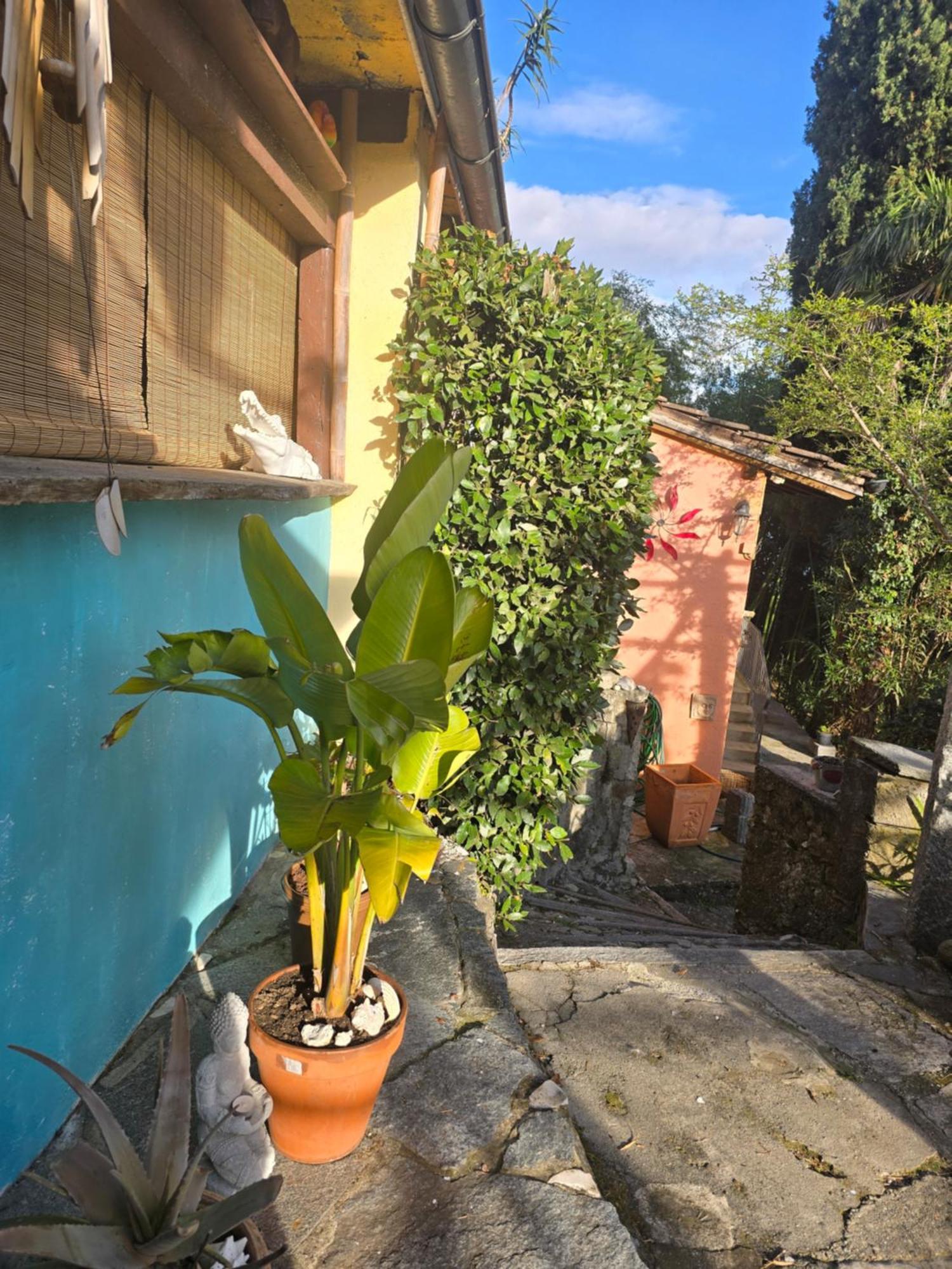 Pensione Olanda Locarno Ngoại thất bức ảnh